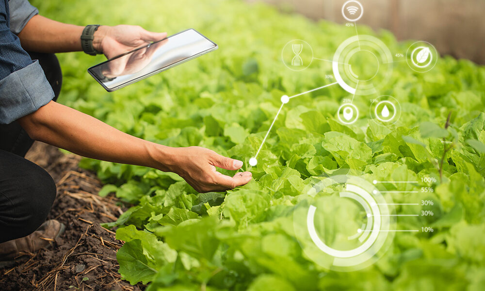 How-Data-Analytics-and-IoT-Sensors-Drive-the-Future-of-Smart-Farming